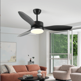 Plastic Ceiling Fans (Attribute: Black)